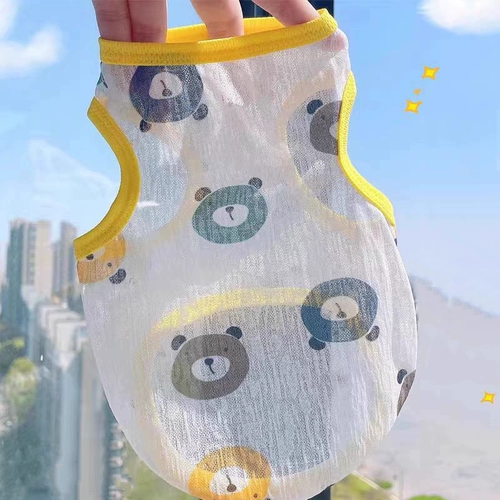 Домашние щенки и кошки в летнем солнце защита от солнца и выпадение волос.