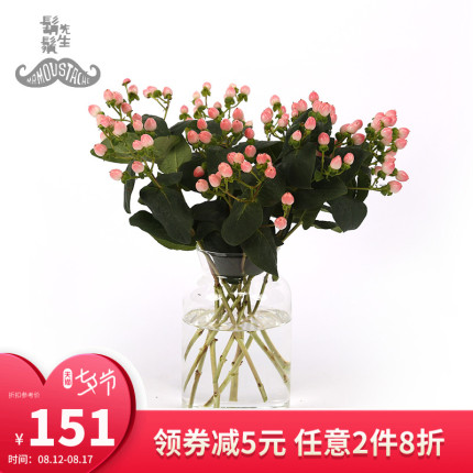 胡须先生 「10枝火龙珠」进口火龙珠金丝桃 红