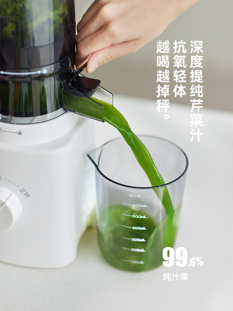 Olayks Instant Large-Caliber Juicer, Household Pulp-Separating Automatic Juicer, 2025 New Model