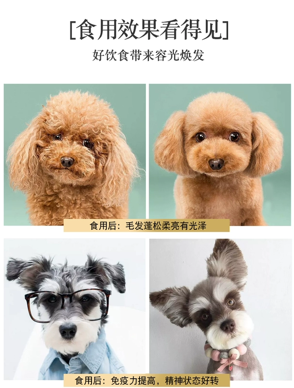 Đồ ăn nhẹ cho chó 150 hộp xúc xích mèo ham Teddy ăn phần thưởng canxi 100 xúc xích cho thú cưng - Đồ ăn vặt cho chó hạt cho chó poodle