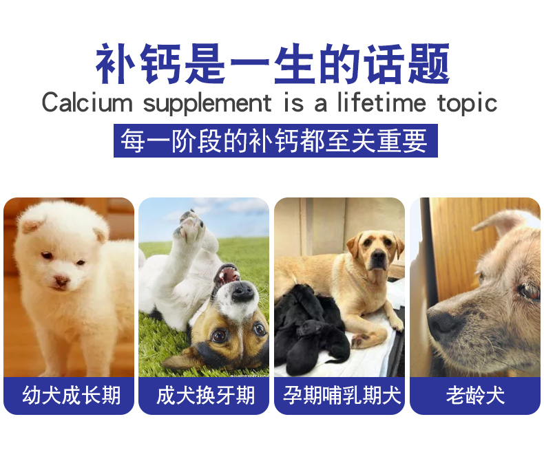 Viên nén canxi chó Đài Loan Teddy chó con Golden Retriever xương chó lớn bột canxi vật nuôi mèo sản phẩm dinh dưỡng nói chung - Cat / Dog Health bổ sung 	sữa cho chó con 1 tuần tuổi	