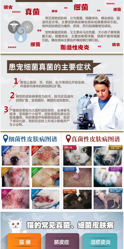 Thú cưng 螨 疥 螨 thú cưng 疥 螨 螨 螨 螨 螨 - Cat / Dog Medical Supplies