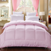 Quilt winter thickened warm quilt core double winter quilt single student spring and autumn bedding summer air conditioning quilt