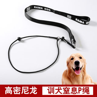 Dog Training Leash, Choke Rope, Leash for Medium and Large Dogs, Training P Rope, Anti-Burst Leash, Dog Rope