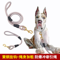 Special Large Dog Traction Rope Giant Dog Dog Dog Walking Dog Rope Plus Coarse Carrobitt Hide Mastiff Dog Chain Sub