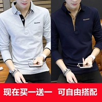 T1002 Grey+T1002 Тибетский зеленый