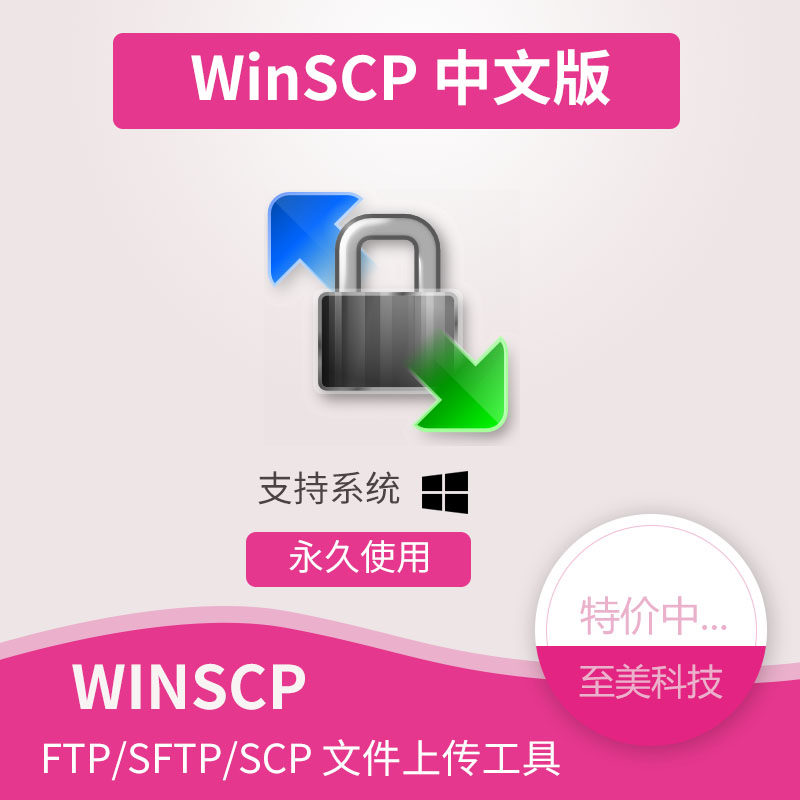 WinSCP 6.5.3 Китайская версия официальный подлинный инструмент для загрузки файлов по FTP /SFTP/SCP