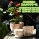 Bình gốm hoa lớn có khay trồng củ cải xanh hộ gia đình đơn giản chậu lớn chậu hoa đặt chậu rau - Vase / Bồn hoa & Kệ