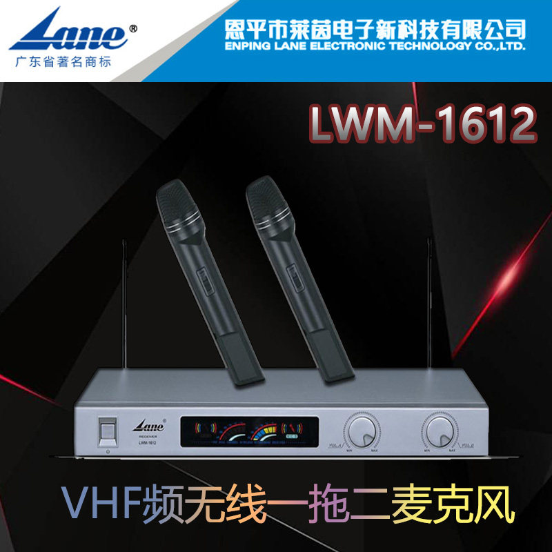 Original plant New Pinnpin Rhine electronic LWM-1612 One drag two V segment Wireless Broadcast Conference microphone microphone