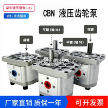 Gear pump Heida hydraulic oil pump CBT-F310 CBN-F304 F306 F316 E314 320 325