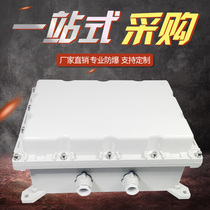 Explosion - proof box 400X500X150 Explosion - proof Control Box Distribution Case with full size supports custom stainless steel material