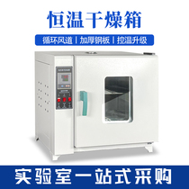 Electrical Constant Wind Blow Dry Box Laboratory Industrial Box Small Oven Vacuum Blower High Temperature Dry Box