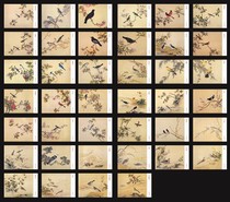 2023 Wanwan Palace Museum Collection Qing Palace Bird Spectrum Postcards Set of 120 302