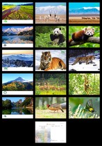 2022 China National Park Scenery and Animal Postcards Set of 15 537