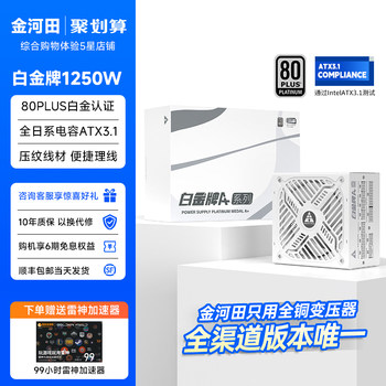 Jinhetian 1250W Platinum Fully Modular Computer Power Supply Desktop Host 5090 Native Interface Atx3.1