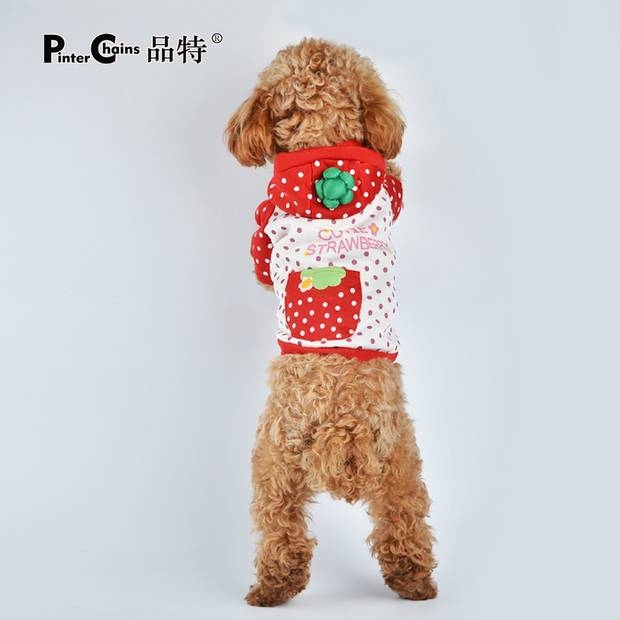 Quần áo cho thú cưng bị mất giải phóng mặt bằng Áo len dâu tây Teddy Chihuahua Bíchon Poodle mặc mùa xuân và mùa thu - Quần áo & phụ kiện thú cưng áo chó