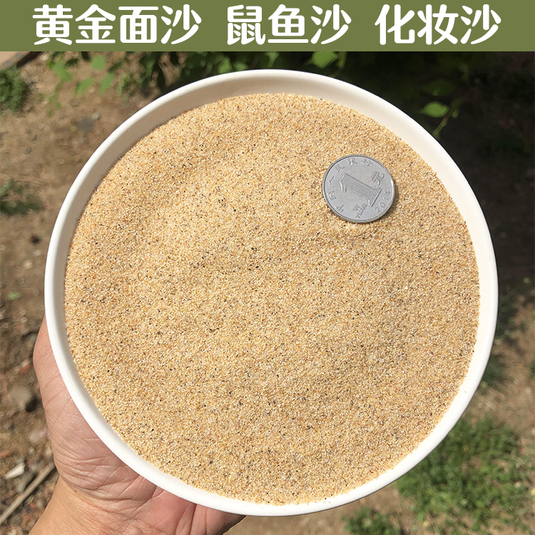 Yellow gold sand South America Sanhu Sage Fish Bottom Sand Fish Tank Grass cylinder Surface-building Makeup Sand Natural Fine River Sand water Grass sand