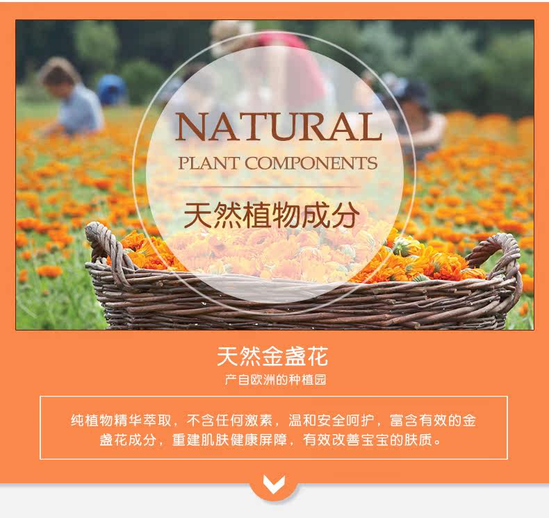 04_金盏花面霜_04.jpg