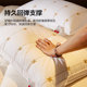 枕头枕芯一对装家用全棉单人护颈椎助睡眠专用酒店大豆纤维整头男