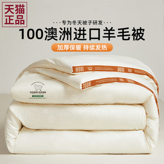 Antarctic Brand Australian Imported Wool Quilt 100% Pure Wool Winter Quilt Core Bedding Autumn and Winter Thickened Warm Quilt