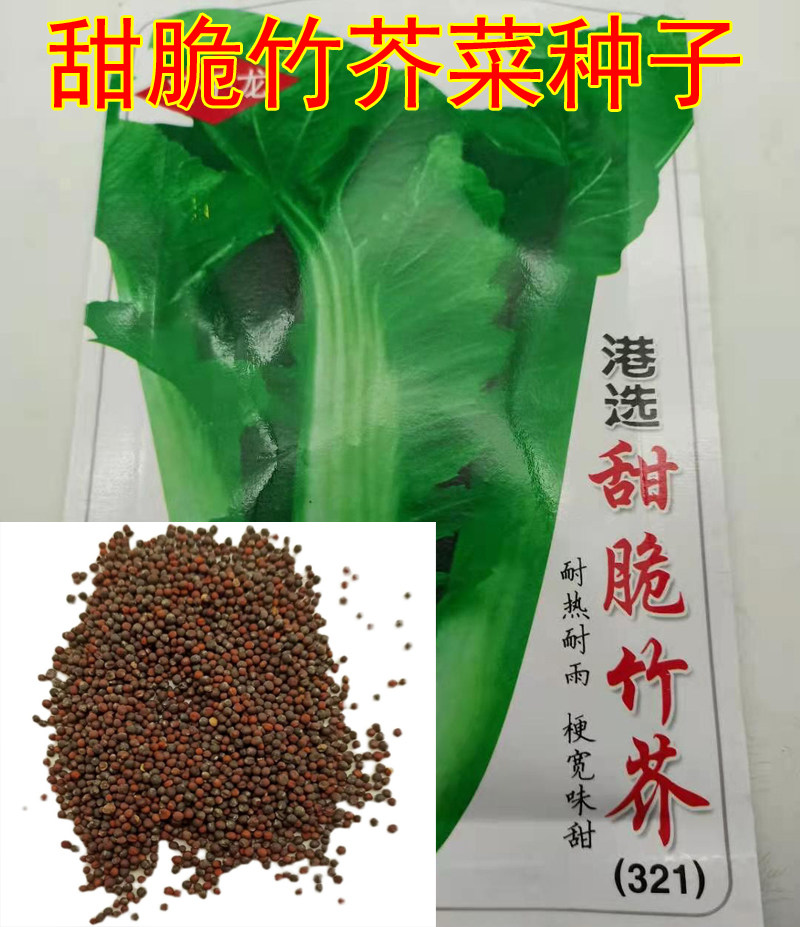 Mustard seed sweet and crisp bamboo mustard seed seed Rapeseed Vegetable Patio Balcony Potted Plant planted in Daejeon