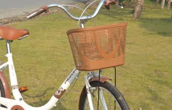 Panier pour vélo FLYING PIGEON - Ref 2257858 Image 21