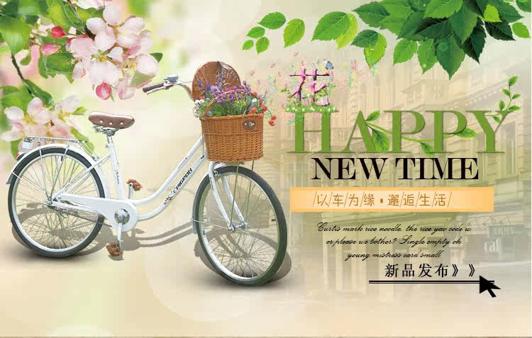 Panier pour vélo FLYING PIGEON en vigne - Ref 2257725 Image 11