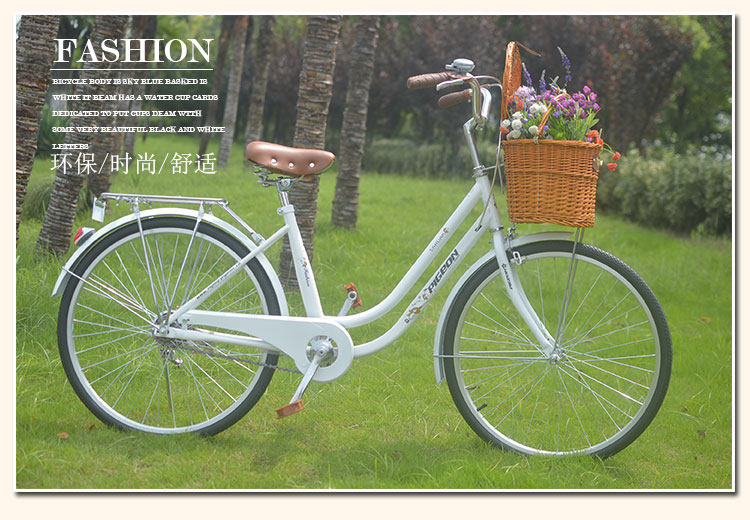 Panier pour vélo FLYING PIGEON en vigne - Ref 2257725 Image 12