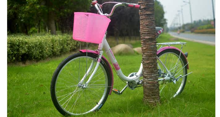 Panier pour vélo FLYING PIGEON - Ref 2257858 Image 18