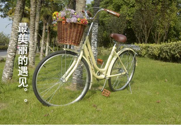 Selle de vélo FLYING PIGEON - Ref 2345058 Image 7