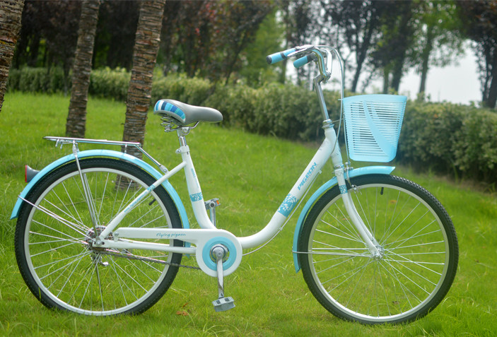 Panier pour vélo FLYING PIGEON - Ref 2257858 Image 19