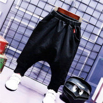 Boy Harlem pants pants 2021 new spring and autumn Korean trousers autumn cross pants baby hangers big pp pants tide