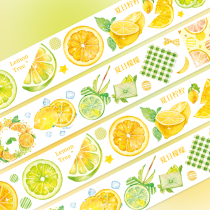 2 meter full roll ceenie strawberry lemon sunflower daisy handbook and paper tape full roll handbook tape set