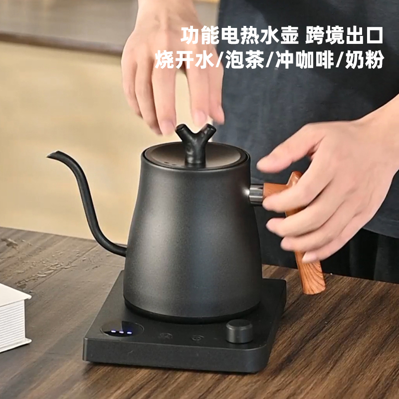 110V Gooseneck Pour-Over Coffee Kettle, Adjustable Temperature Long Spout Kettle, Electric Kettle for the United States, Taiwan, and Canada
