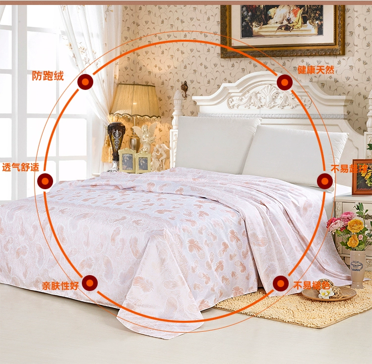 Chống khoan chăn quilt chống xuống duvet chạy nhung len chăn lông lạc đà lông rụng mật độ cao lót