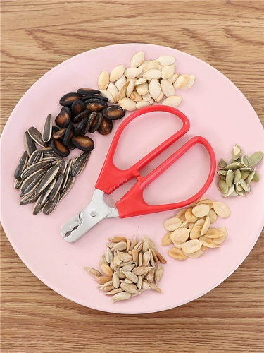 Семена семян бытовых дыни сцена