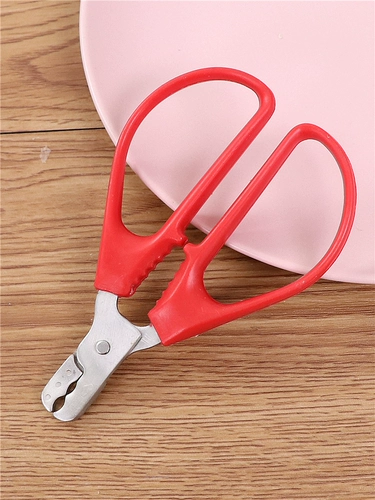 Семена семян бытовых дыни сцена