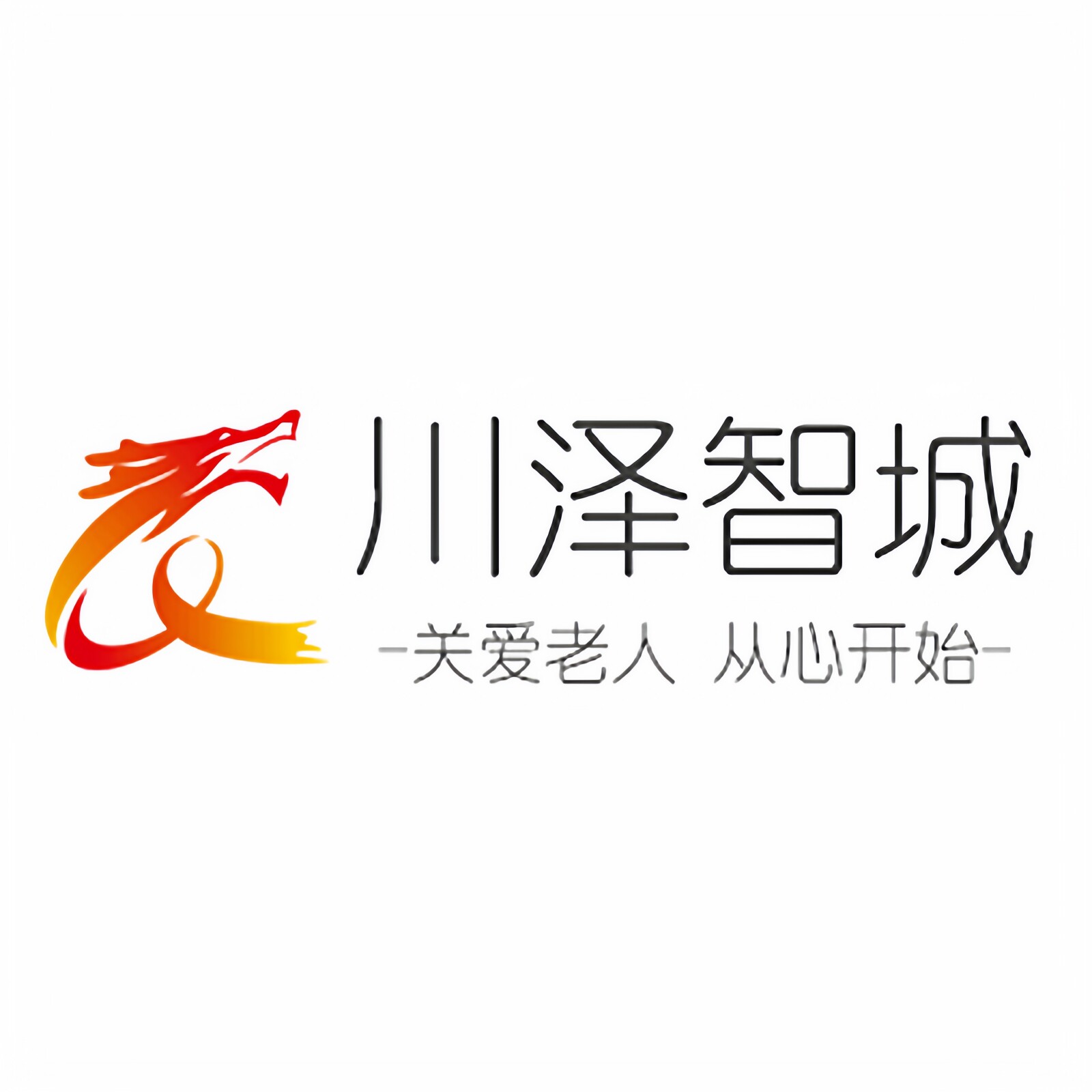 川泽智城数码经营部的LOGO
