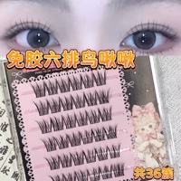 36 связок птичьих щебетаний без клея (в одной коробке)