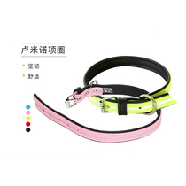 European imported JuliusK9IDC dog collar dog collar small medium and large dog fluorescent leather collar collar