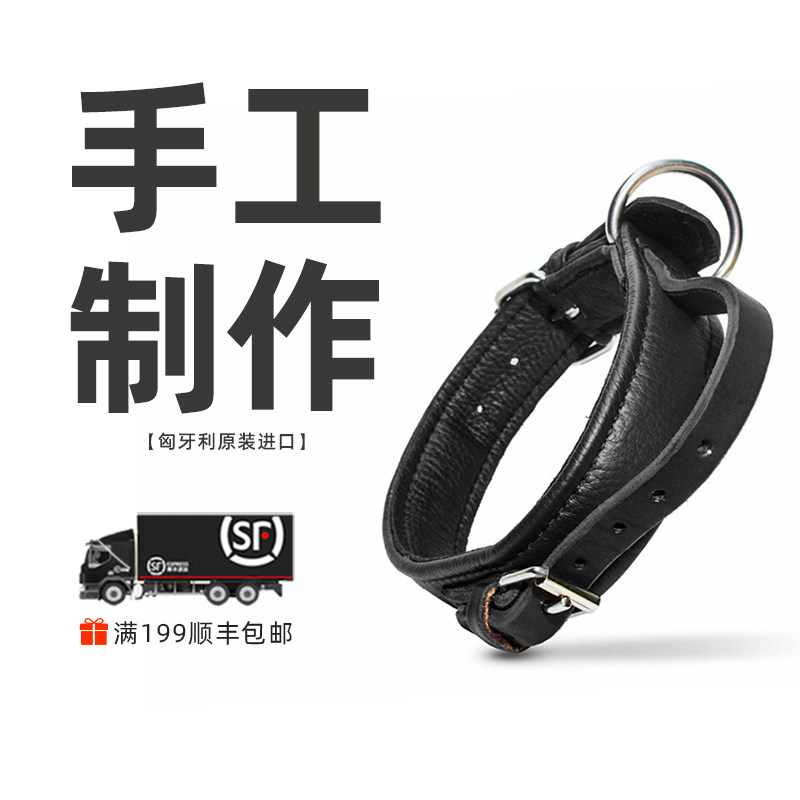 Julius K9 eco Leather collar imported from European original factory