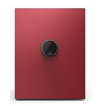 South Korea Diplomat Depot Fire Cabinet Household Small Fire Anti-theft Fingerprint Double Safe by 500 Imported