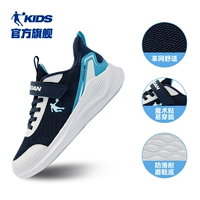 Академия Блю/Джордан Уайт Четыре сезона Леброн