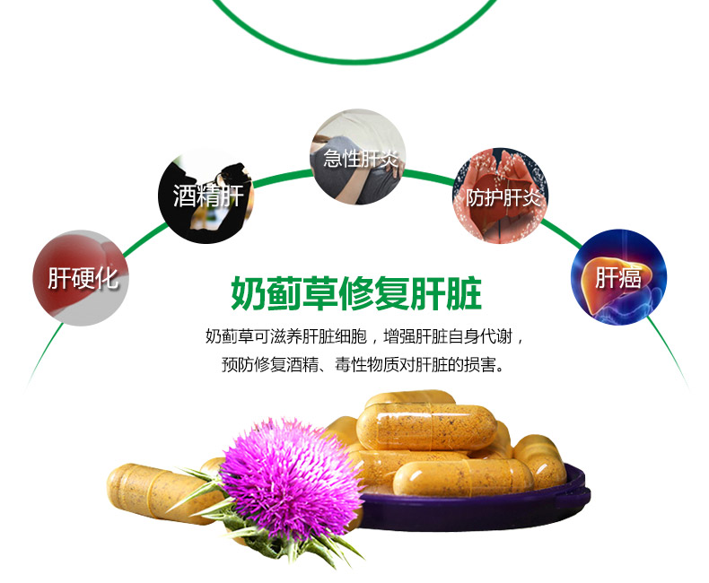 Weibo Webber Naturals Sữa Thistle ngoài giờ và các sản phẩm cho sức khỏe gan - Thức ăn bổ sung dinh dưỡng uống vitamin e