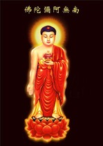 The knot Sakyamuni looks like the Amitaba Buddha as a Buddha statue of Amitabha provides a Buddha statue