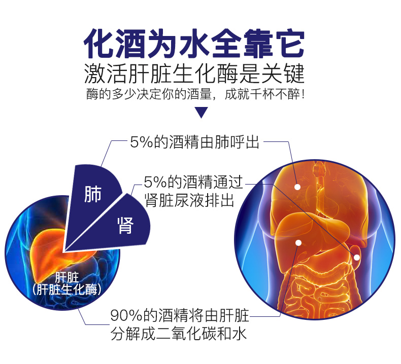 日本进口 Fine 解酒护肝片 630mg*90粒 图10