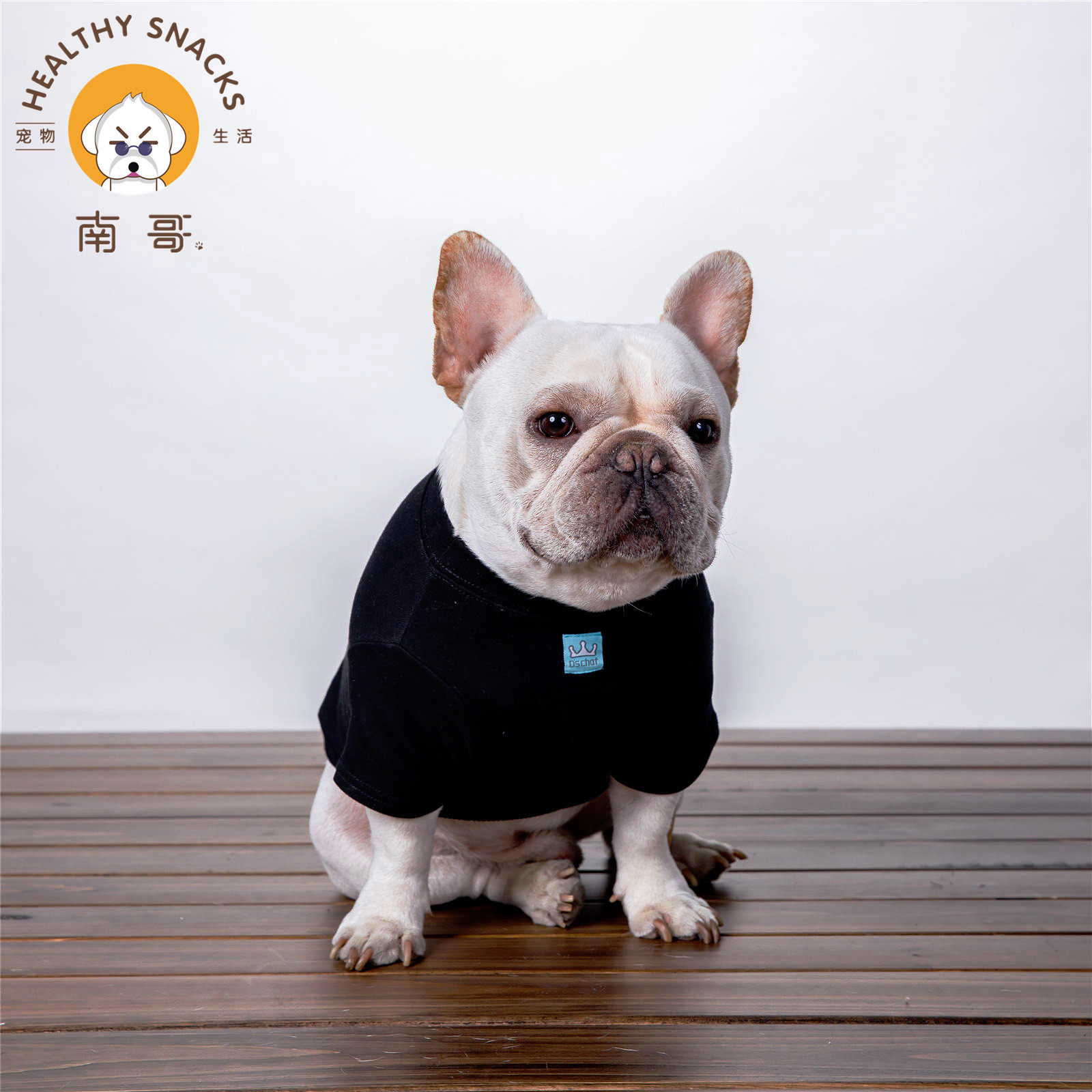 Pooch fashion thick T-shirt T-shirt Fashion teddy Bears Bear Kim Mao Koki Methodist Cool Letters Home Holiday Clothes