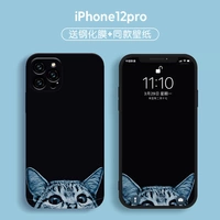 Apple, iPhone12, черный iPhone12 Pro