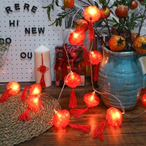 Colorful Lights Outdoor outdoor Spring Festival red lantern hanging decorated Led flashlights New Chinese New Year decorations Pendant Tree Light small lamp string Mini