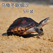 Turtle sand hibernates fine sand reptile bedding Natural sea sand fish tank low sand bottom sand landscaping decoration
